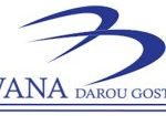 logo copy